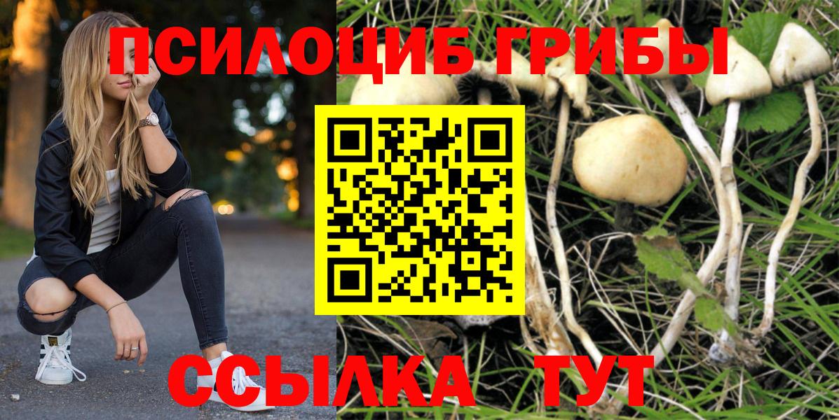 Галлюциногенные грибы Cubensis  Вход с VPN  Черкесск 